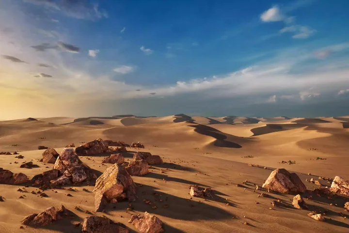 Brushify - Dunes Pack