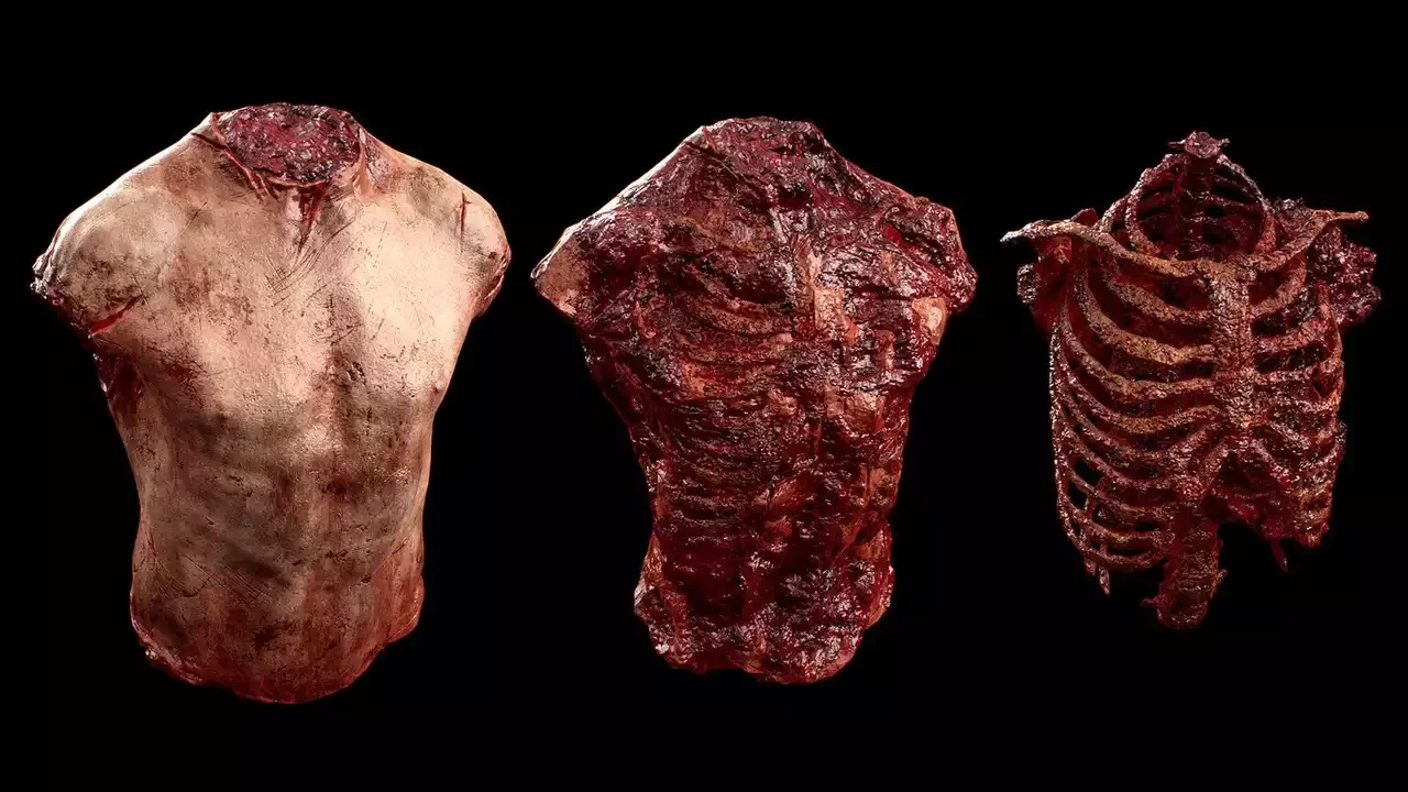 Gore & Horror Props Megapack