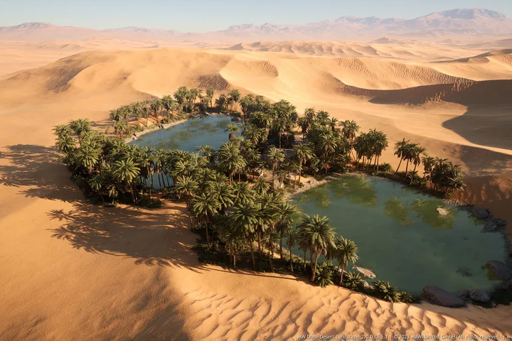 MW Dune Desert Landscape