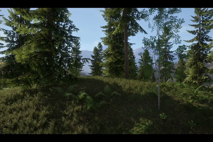 Realistic Forest Pack