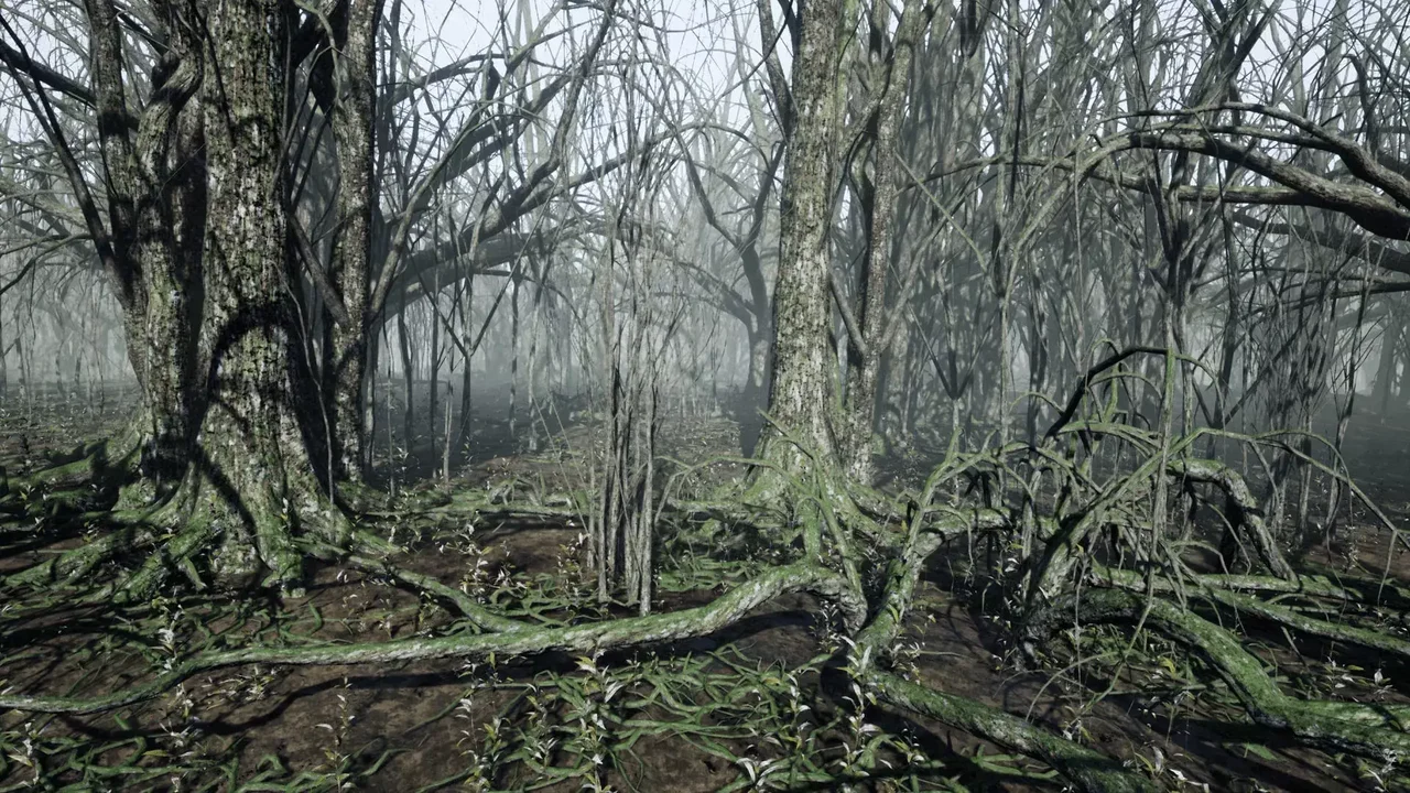 Dark Forest