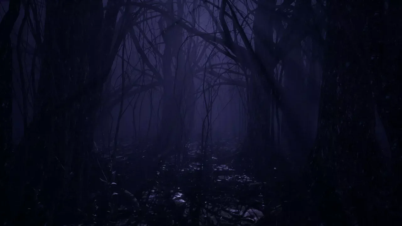 Dark Forest