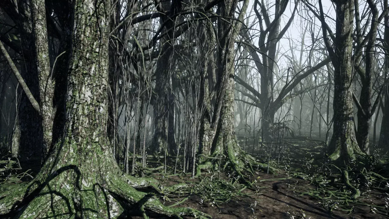 Dark Forest