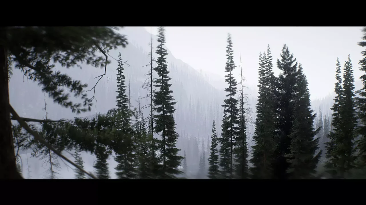 Colorado Nature Landscape