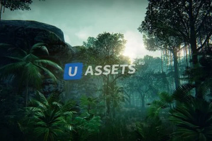 Tropical Forest