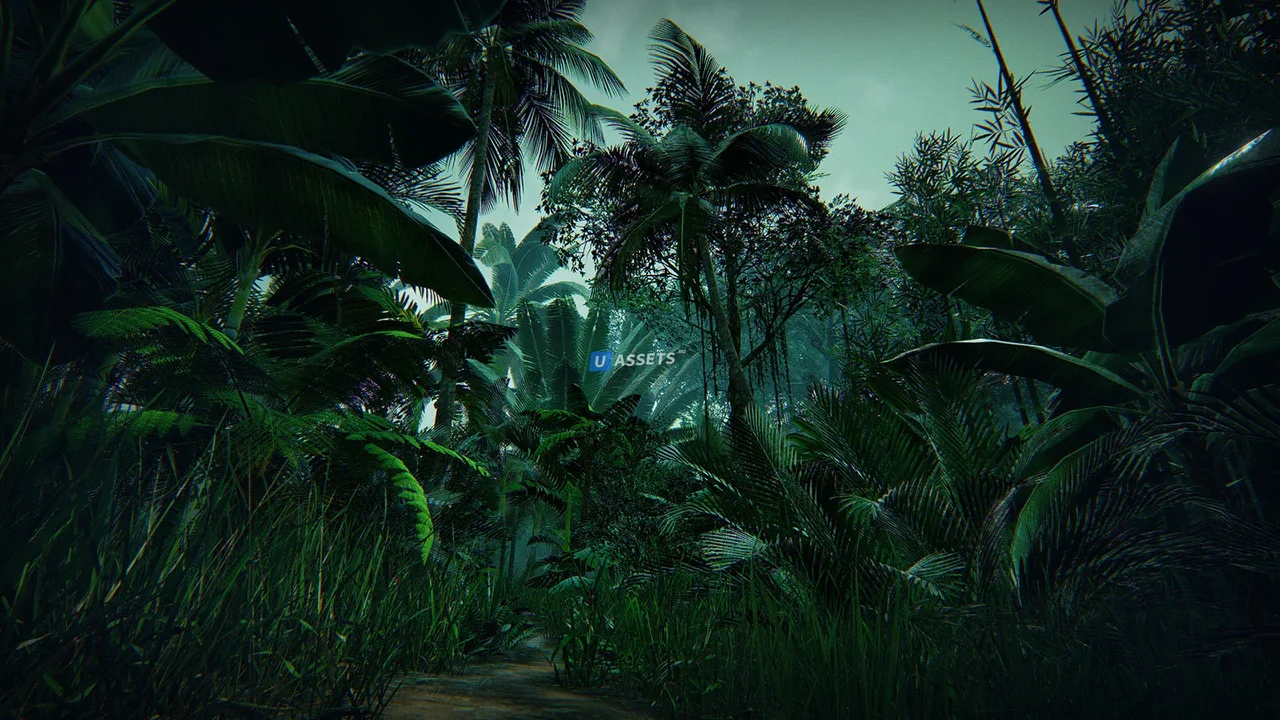 Tropical Forest