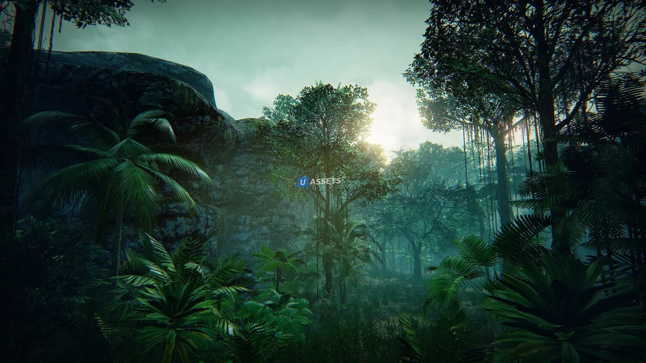 Tropical Forest