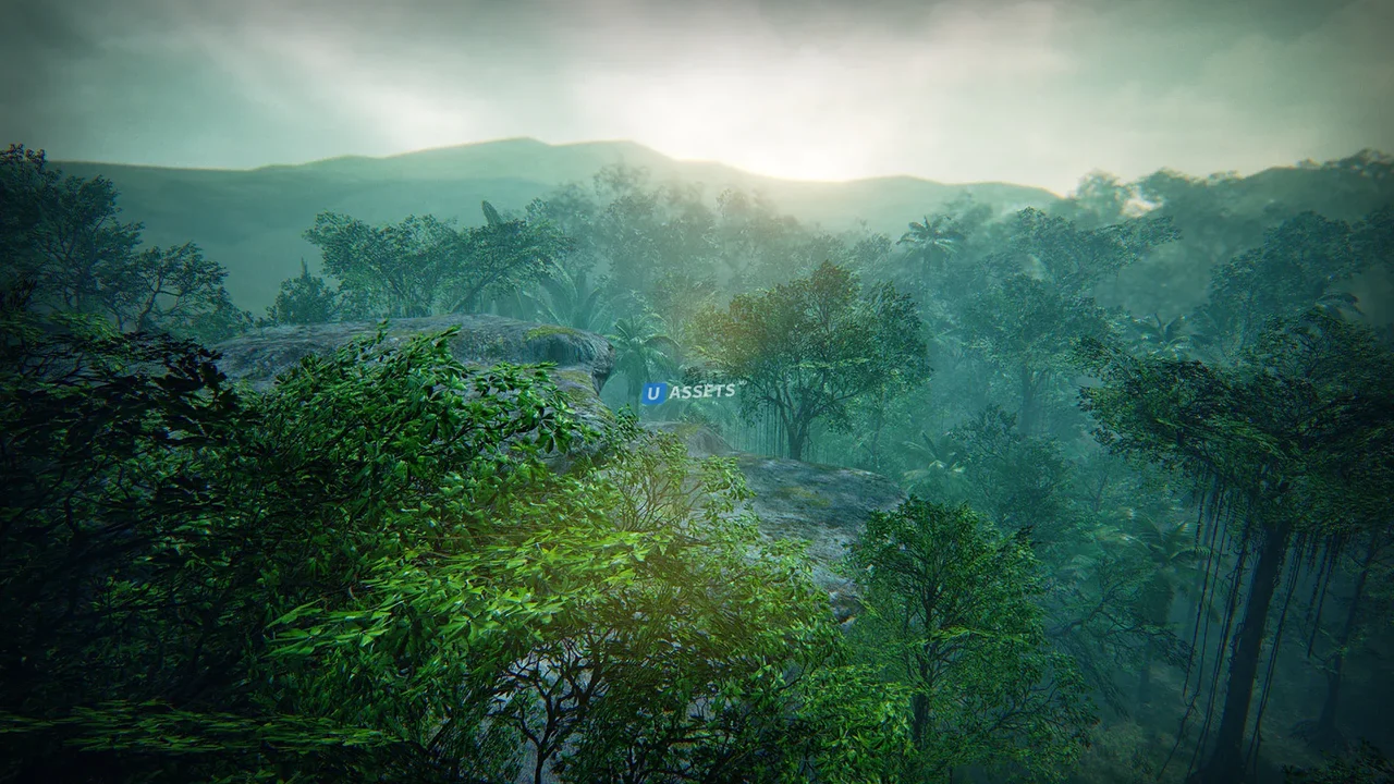 Tropical Forest