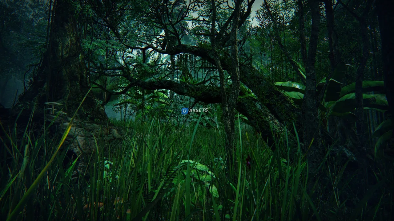 Tropical Forest