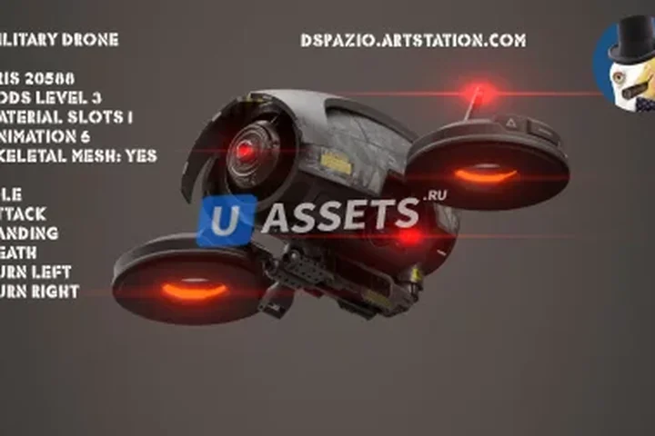 Military Drone