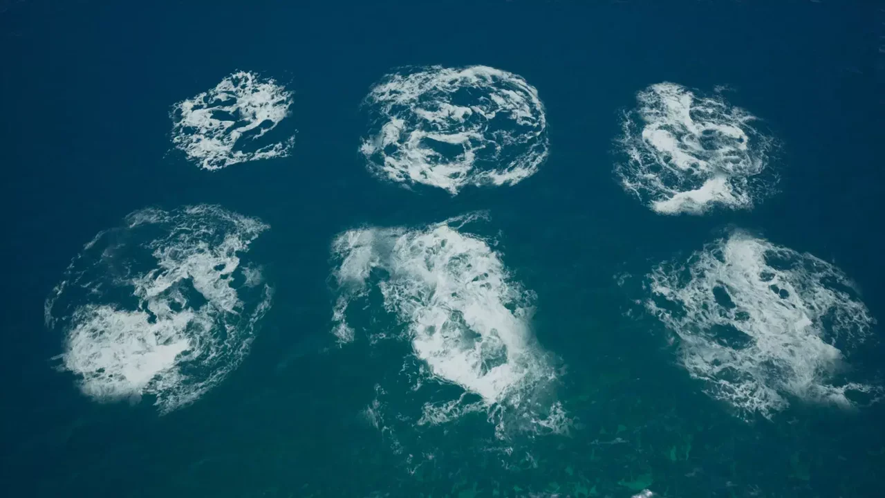 Waterstamp - Water Decals