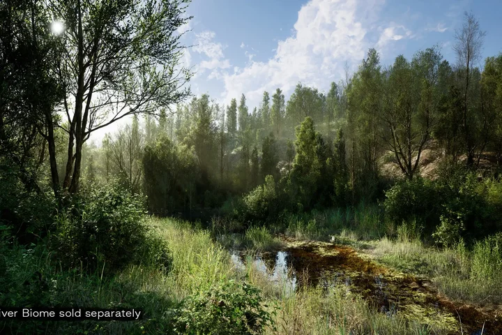 PCG Biome: Forest Poplar (Interactive Foliage, Trees, Wind System, Nature)