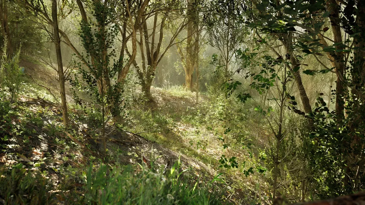 PCG Biome: Forest Poplar (Interactive Foliage, Trees, Wind System, Nature)