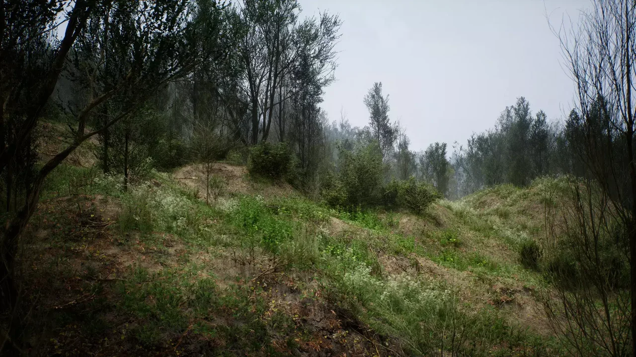 PCG Biome: Forest Poplar (Interactive Foliage, Trees, Wind System, Nature)