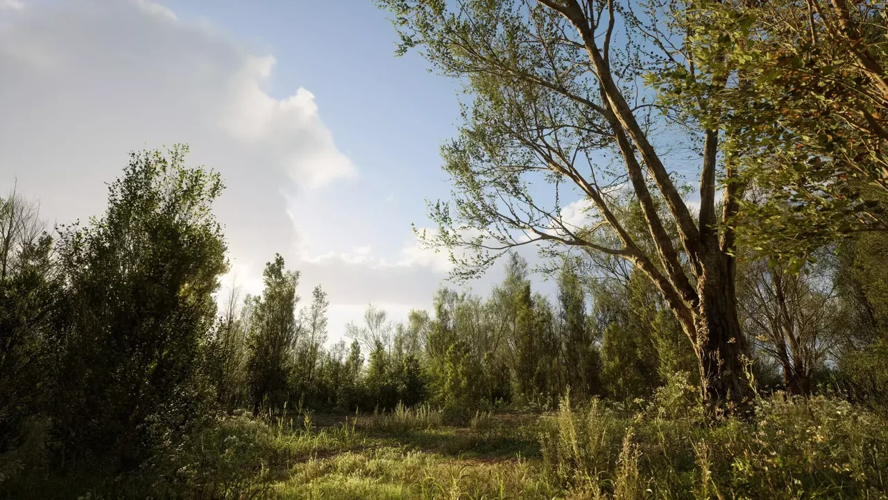 PCG Biome: Forest Poplar (Interactive Foliage, Trees, Wind System, Nature)