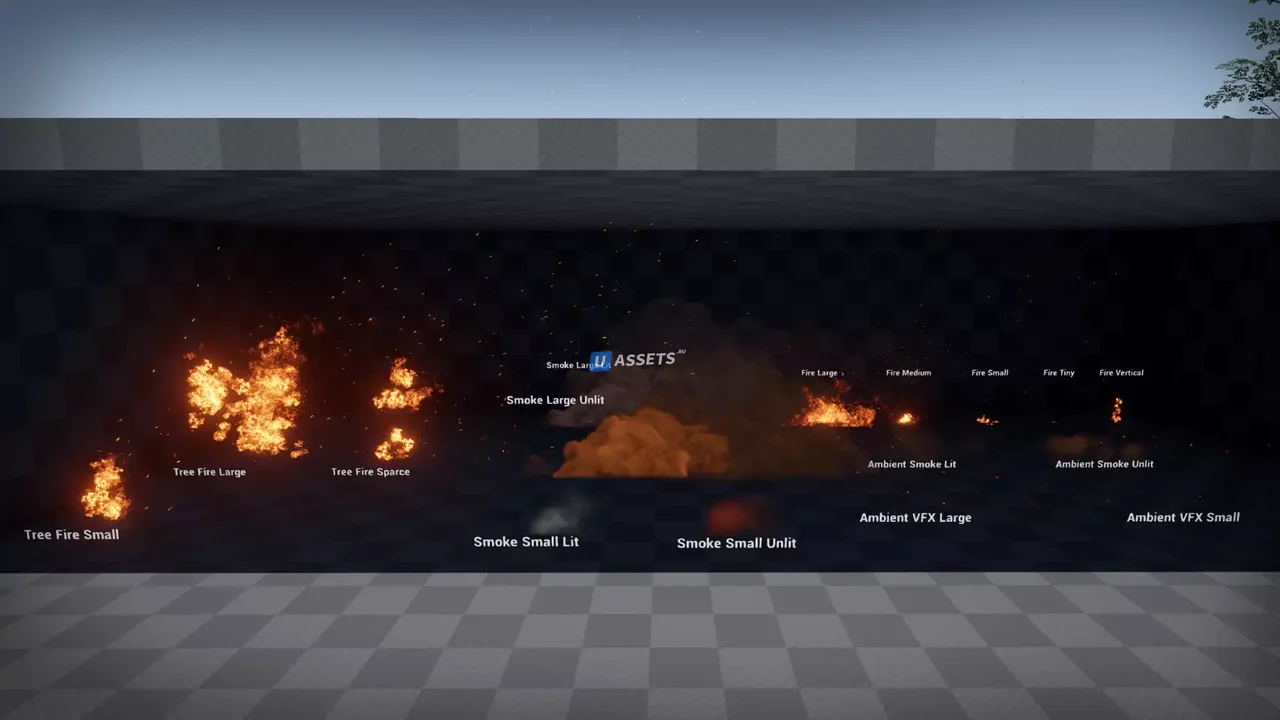 Forest Fire