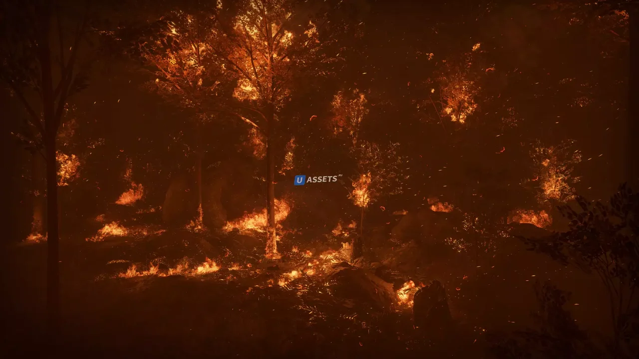 Forest Fire