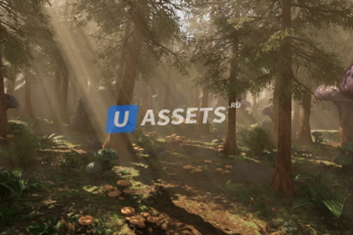 Fantasy Forest - Forest Environment