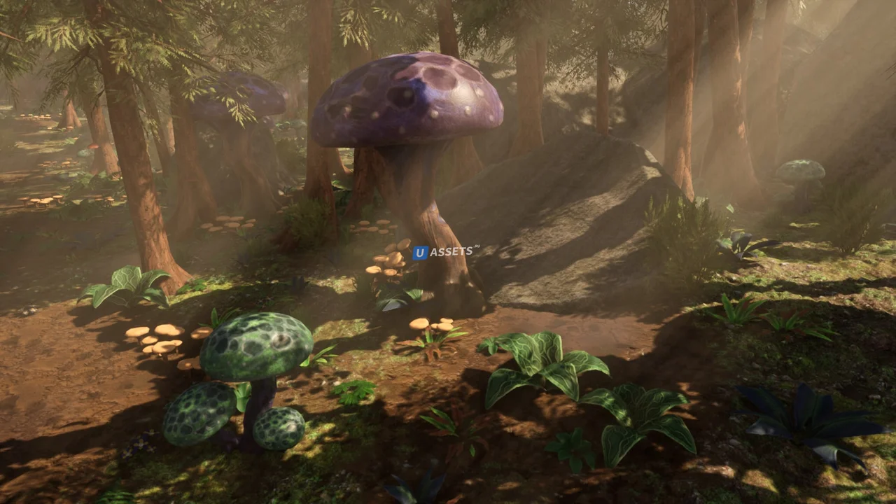Fantasy Forest - Forest Environment