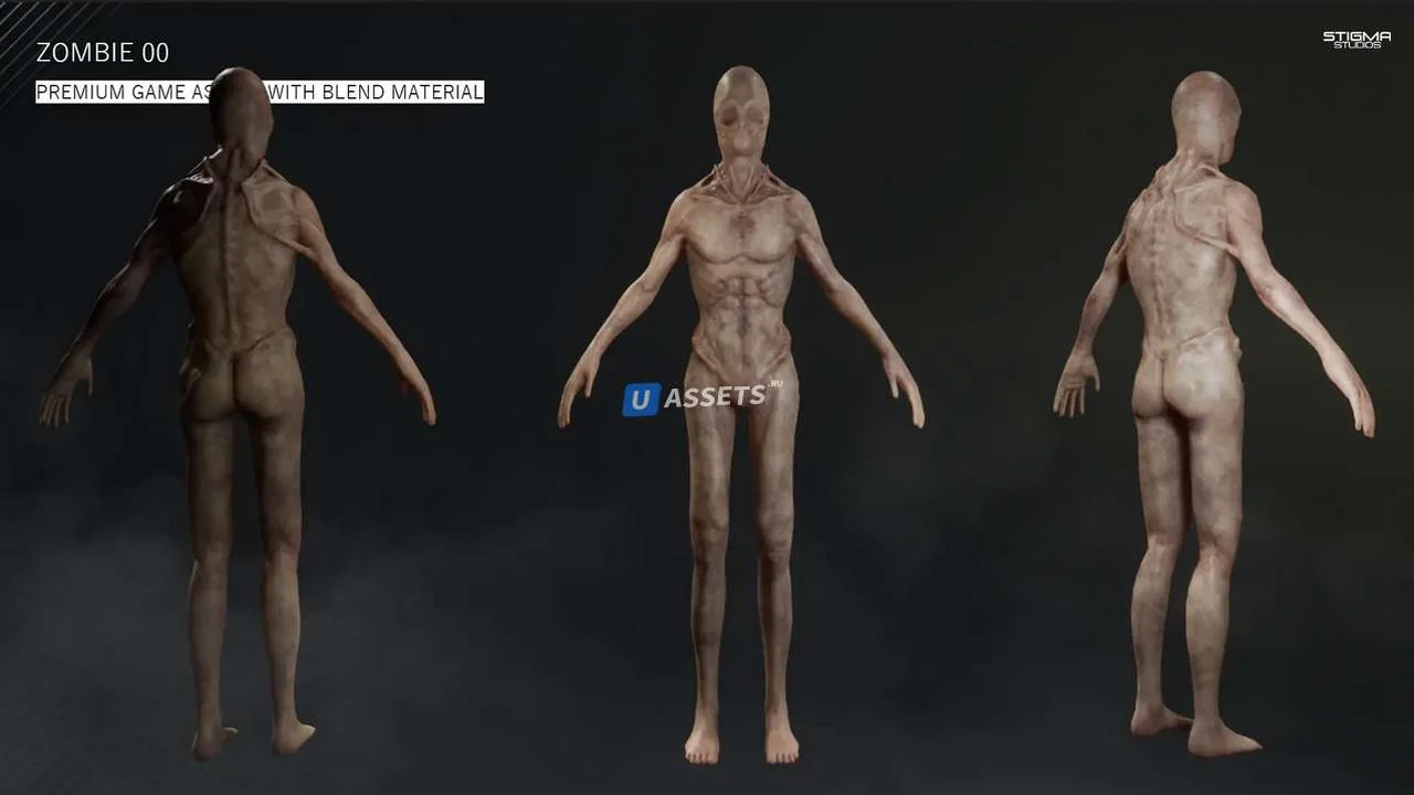 Zombie 00 - Premium Game Assets + Extra