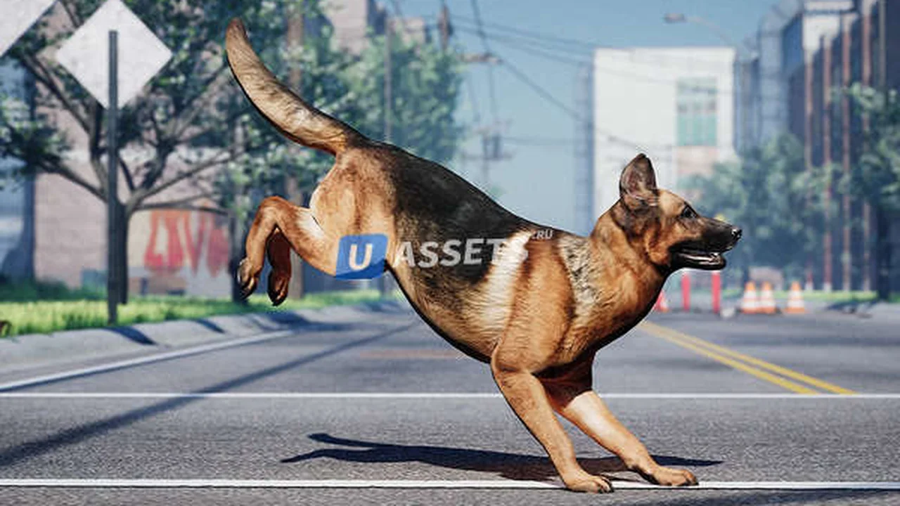 Animalia - German Shepherd