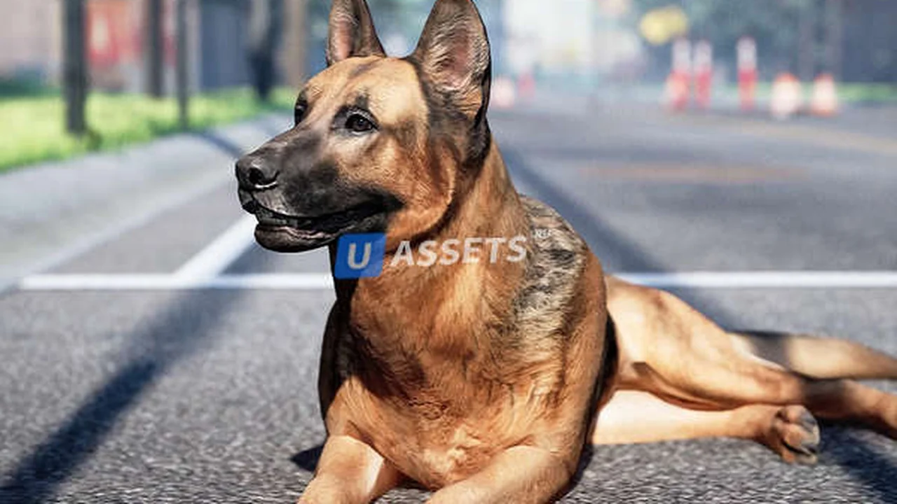 Animalia - German Shepherd