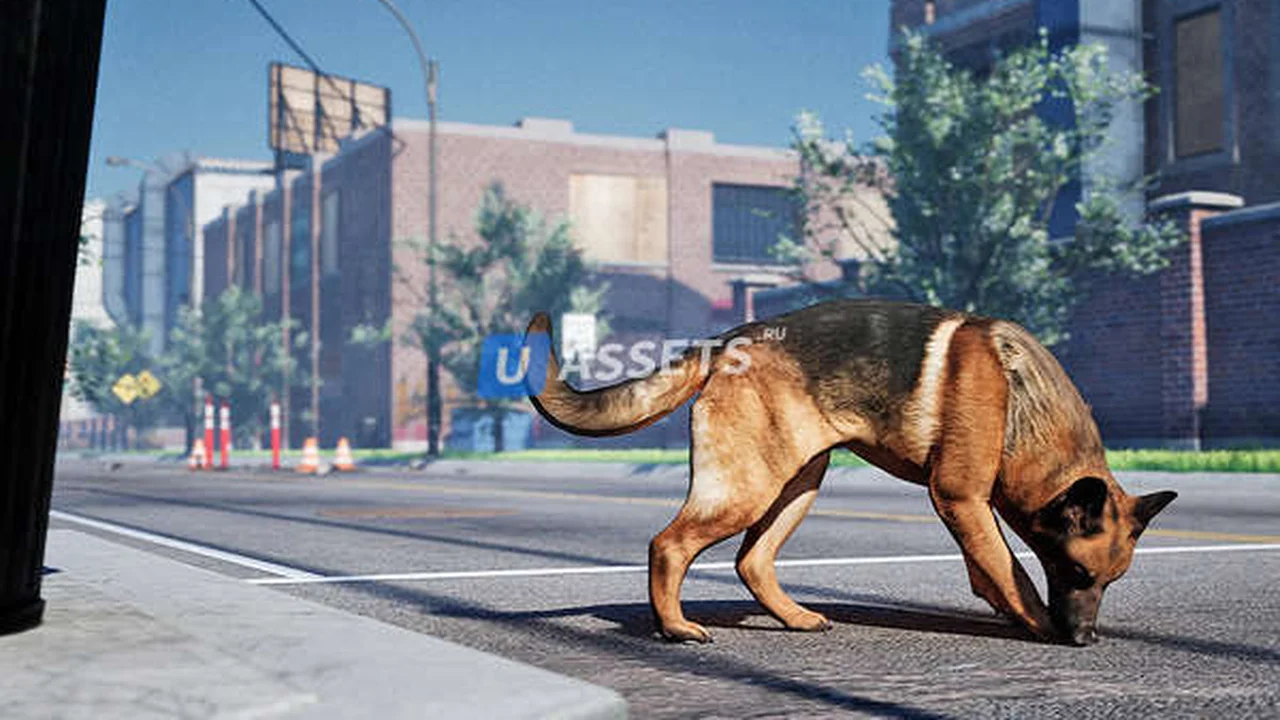 Animalia - German Shepherd
