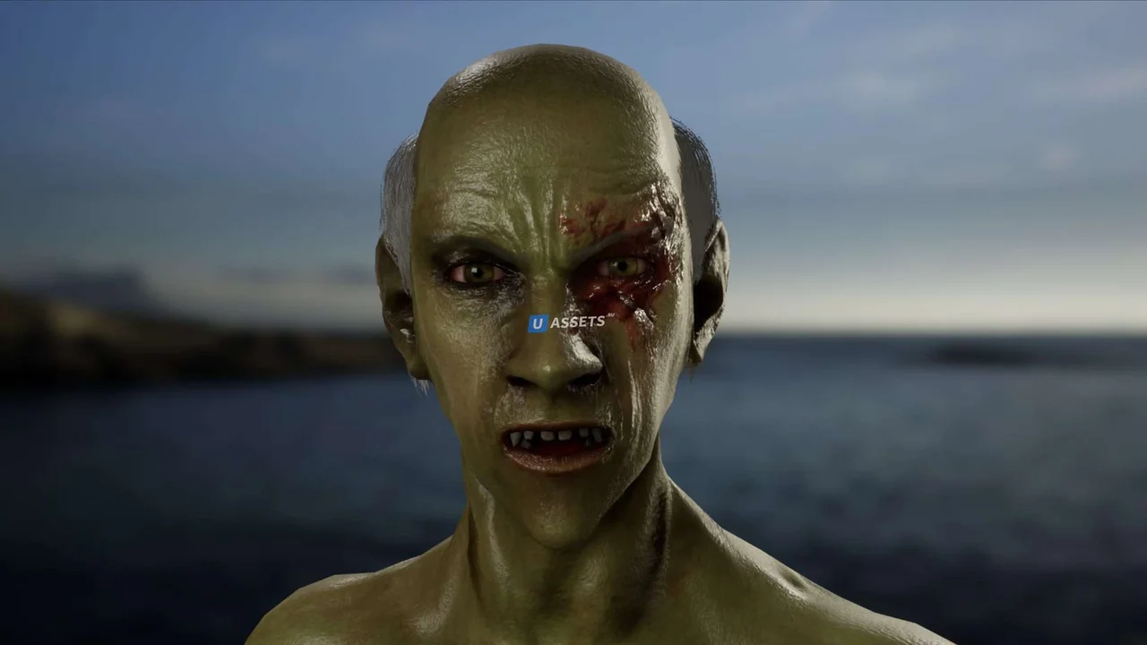 Universal Character Customization System