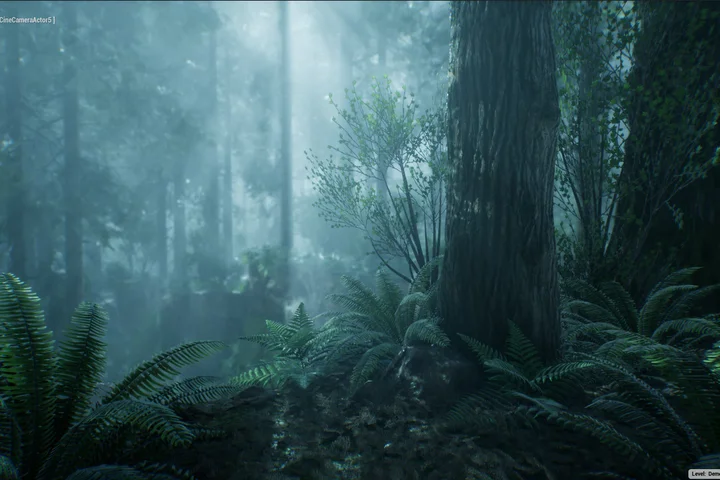 The Forest