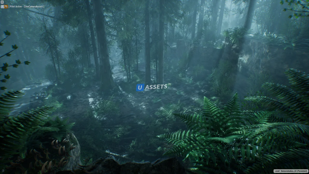 The Forest