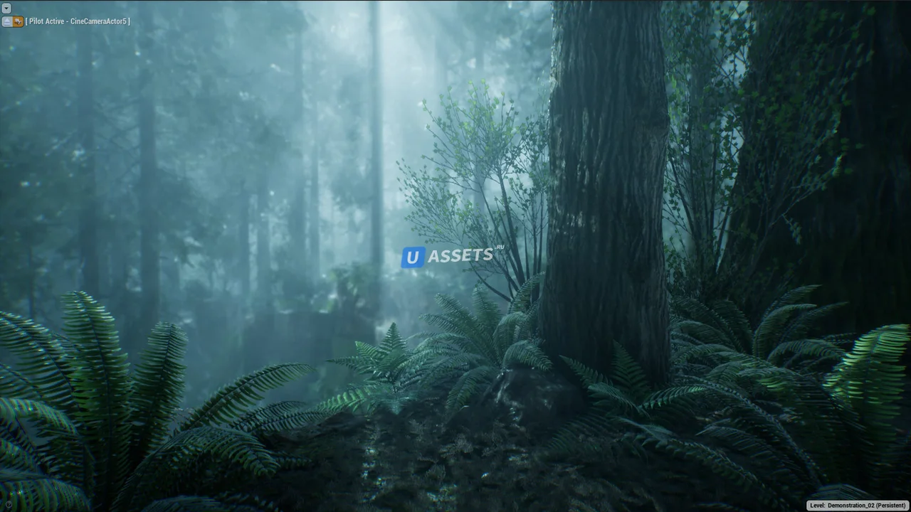 The Forest