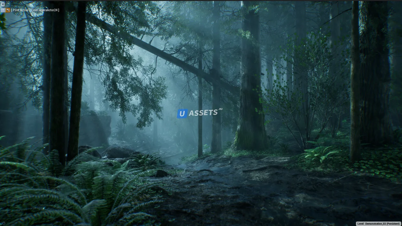 The Forest