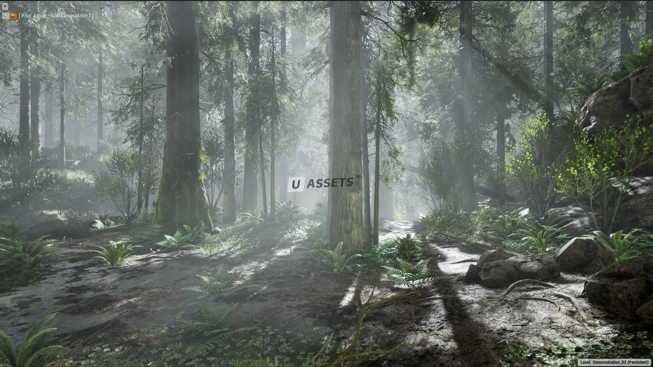 The Forest