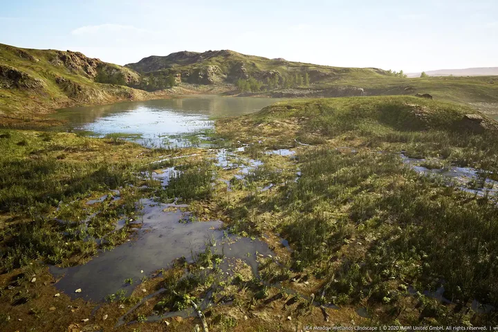 MW Meadow Wetlands Landscape