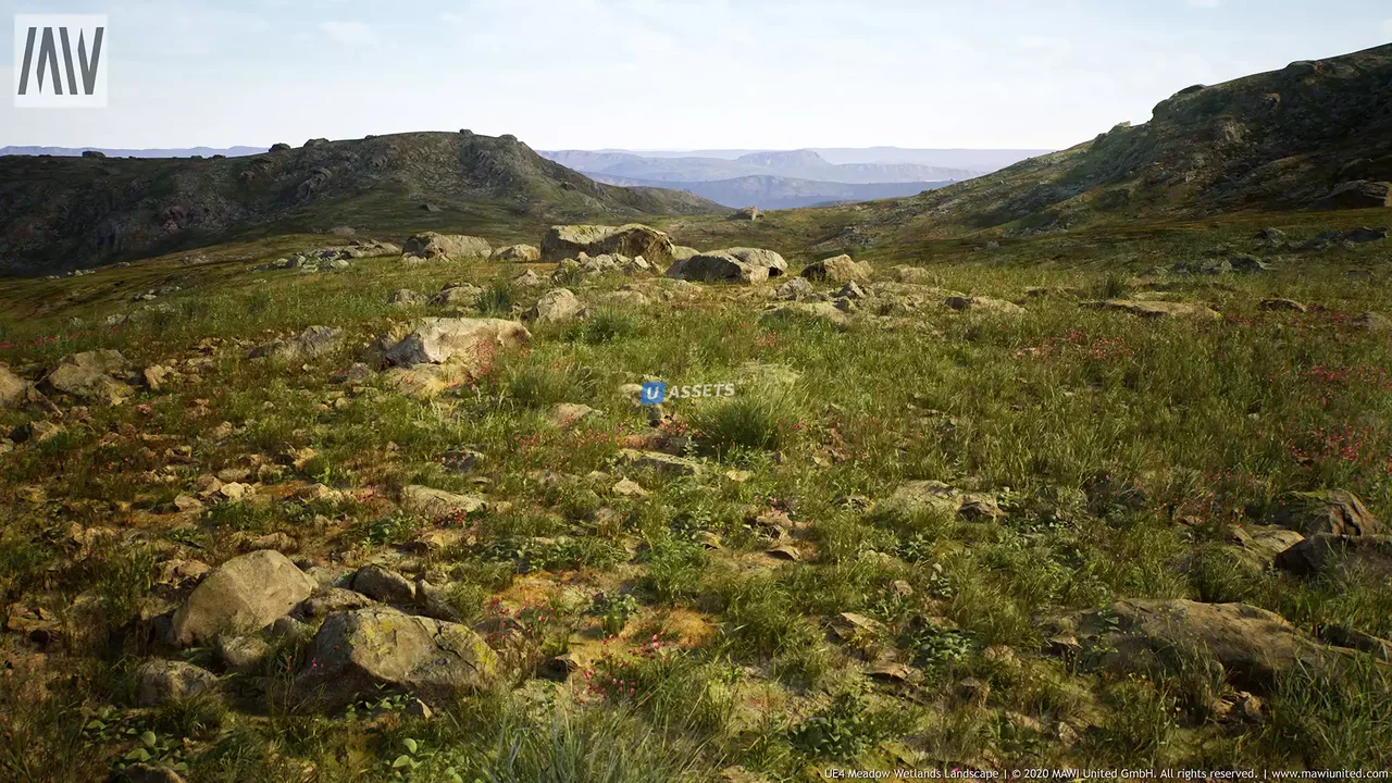 MW Meadow Wetlands Landscape