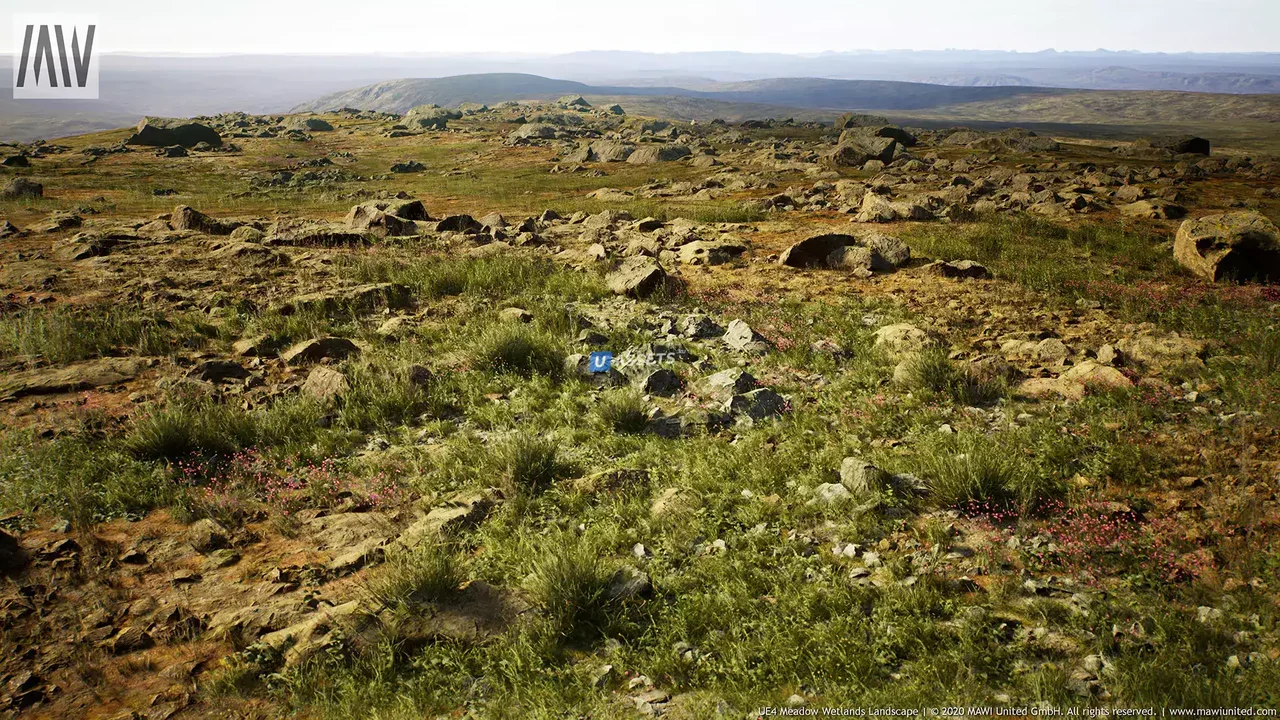 MW Meadow Wetlands Landscape