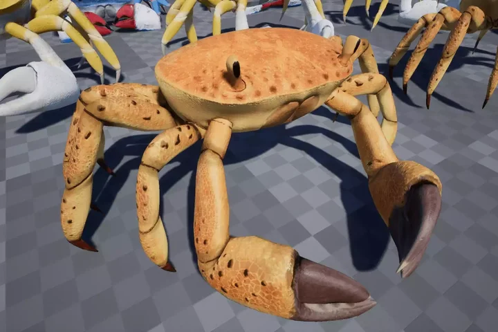 Crab - Animated Creature