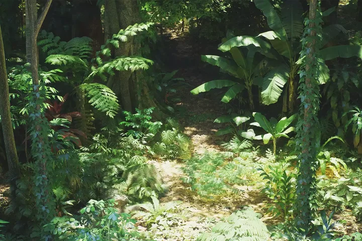 Rain Forest Pack