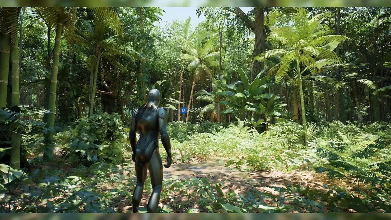 Rain Forest Pack