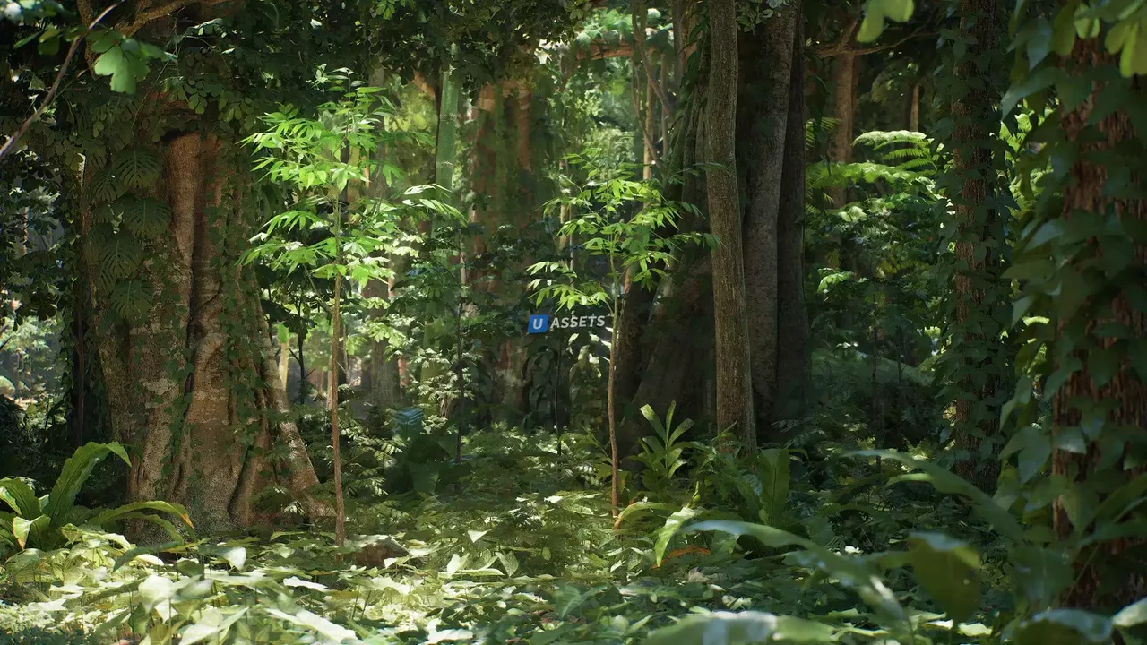 Rain Forest Pack