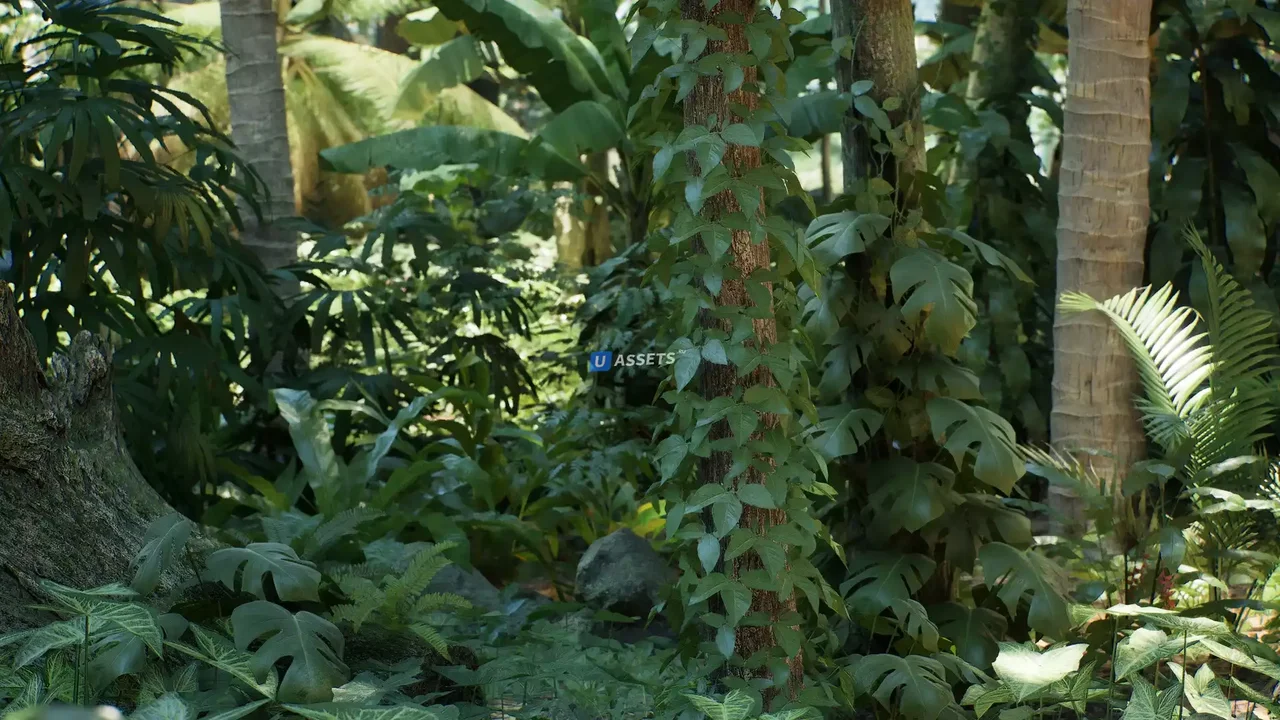 Rain Forest Pack
