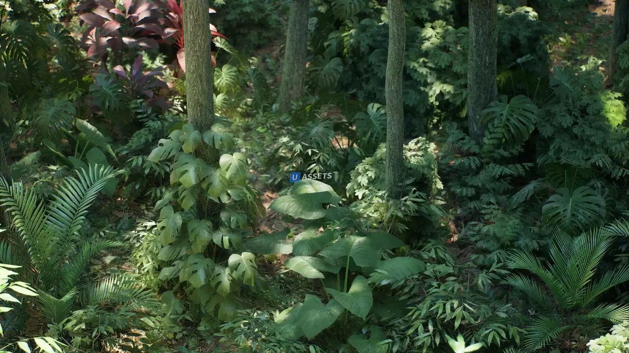 Rain Forest Pack