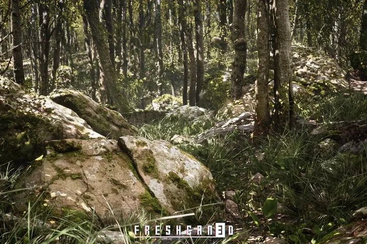 Procedural Oak Forest