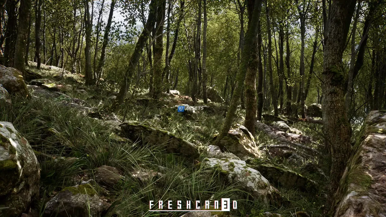 Procedural Oak Forest