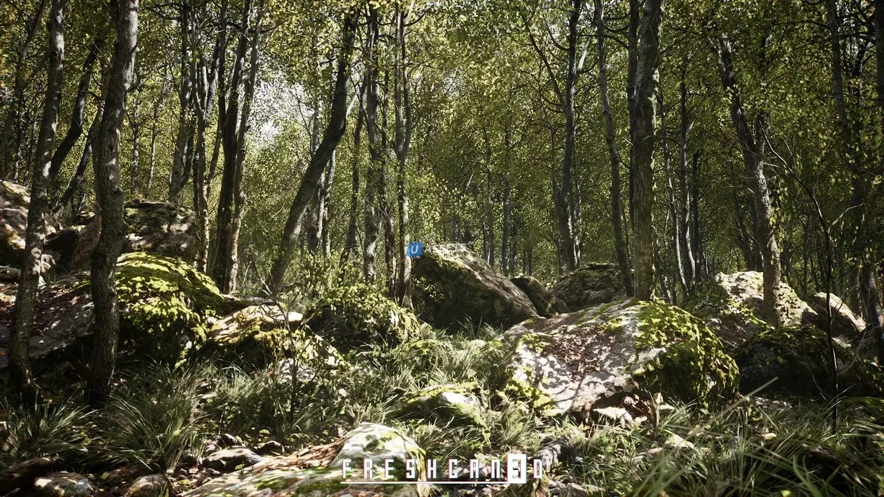 Procedural Oak Forest
