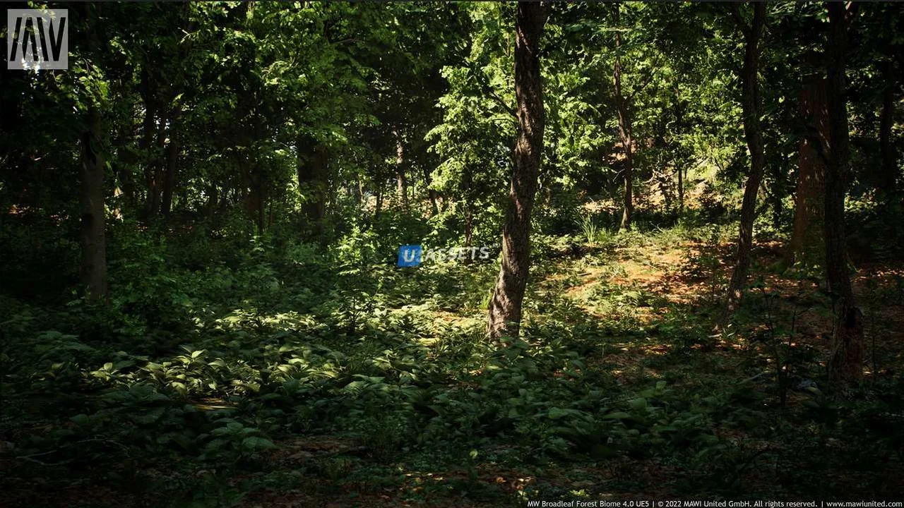 MW Broadleaf Tree Forest Biome UE5