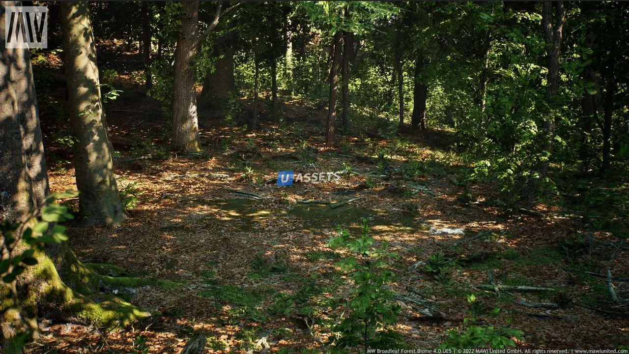 MW Broadleaf Tree Forest Biome UE5