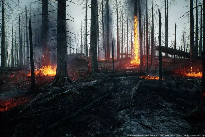 MW Burned Dead Trees Forest Biome