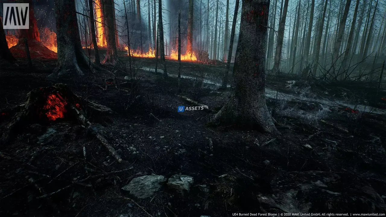 MW Burned Dead Trees Forest Biome
