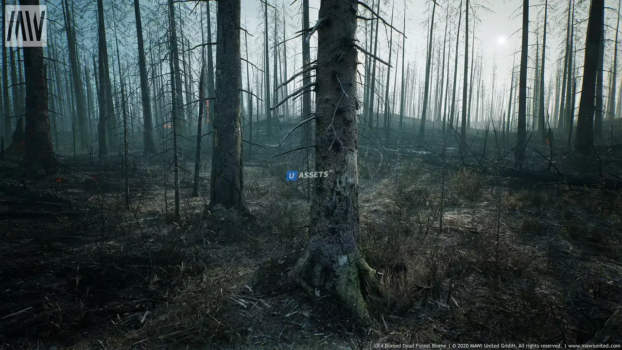 MW Burned Dead Trees Forest Biome